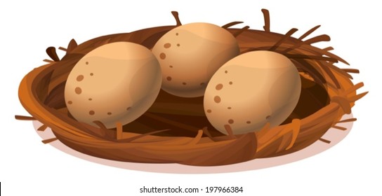 Illustration of a nest with three eggs on a white background