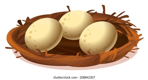 Illustration of a nest with three eggs on a white background