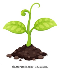illustration of New born plant growing
