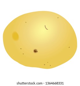 Illustration of the new potatoes