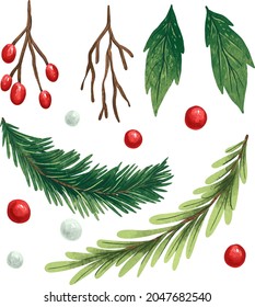 illustration New Year's set with holly leaves, red and white berries, Christmas twigs, a branch of a Christmas tree designer