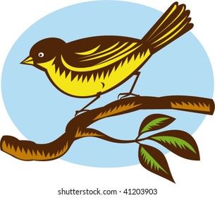 illustration of a New Zealand fantail bird on a branch done in retro woodcut style