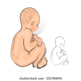 illustration of a newborn baby, line art