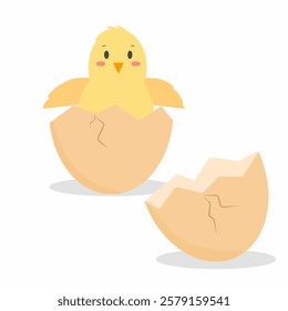 illustration of a newly hatched yellow chick emerging from a cracked eggshell, cracked eggshell and chick cartoon