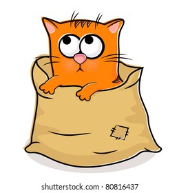 Illustration of nice red kitten in linen bag