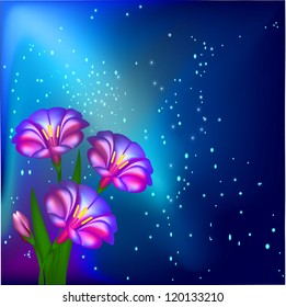 illustration night background with flowers and stars
