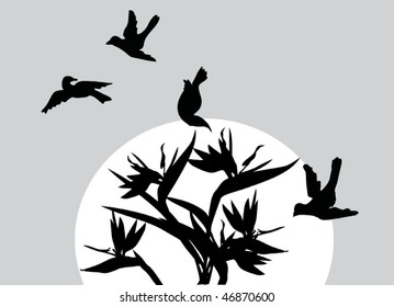 illustration with night scene with flying birds