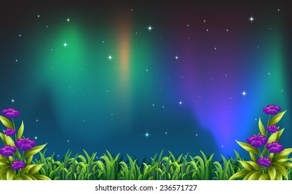 Illustration of a night view of aurora