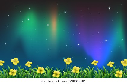 Illustration of a night view of a flower field