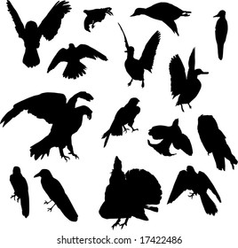 illustration with nine bird silhouettes isolated on white background