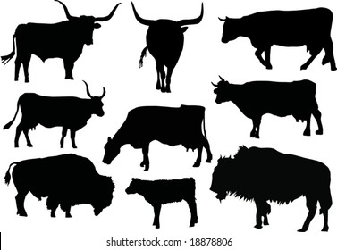 illustration with nine bull and cow silhouettes