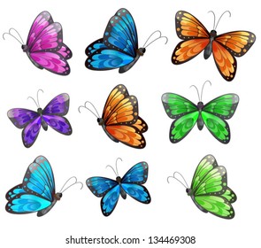 Illustration of the nine colorful butterflies on a white background