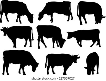 77,537 Cow silhouette Images, Stock Photos & Vectors | Shutterstock