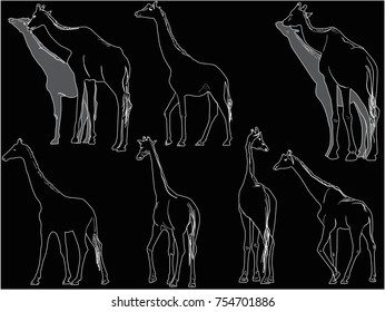 illustration with nine giraffes isolated on black background