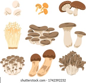 Illustration of nine kinds of mushrooms