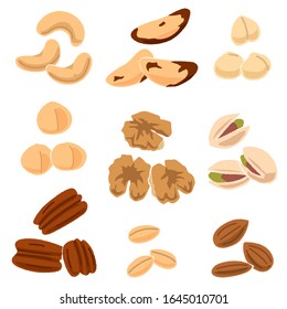 Illustration of nine kinds of nuts