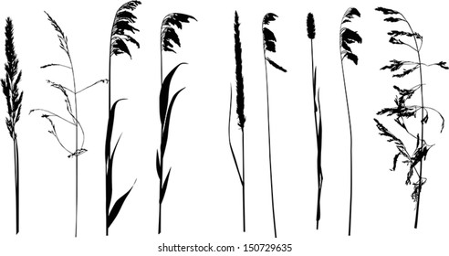 illustration with nine wild plants silhouette isolated on white background