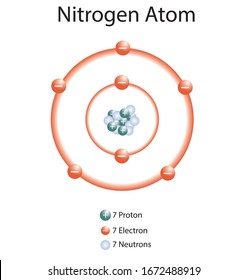 Illustration Of The Nitrogen Atom