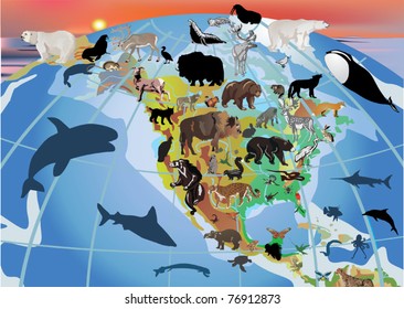 Illustration With North America And Different Animals