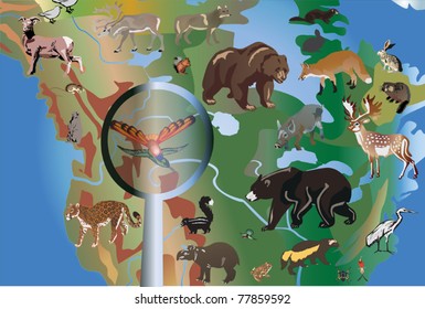 illustration with North America and different animals