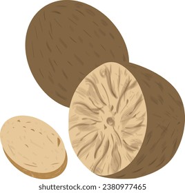 Illustration: nutmeg, whole, half and slice, created in digital graphics. Suitable for creating patterns, decorating business cards, shops, booklets, for printing and websites.