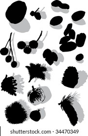 ilustración con colección de nueces aislada en fondo blanco