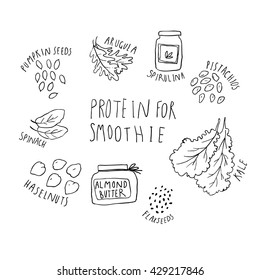 Illustration of nuts, greens and superfoods with protein for smoothie. Hand drawn seeds, hazelnuts, kale, pistachios, spinach, arugula and lettering.