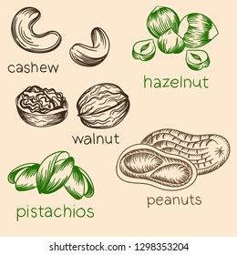 Illustration with nuts.Cashew, hazelnut, walnut, pistachios and peanuts.