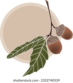 Illustration of oak fruit with leaves on soft brown circle background.