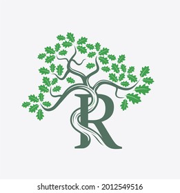 illustration of oak tree combined intial R, R logo, R symbol.
