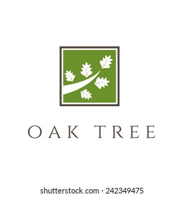 Illustration of oak tree icon. vector 