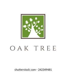 Illustration of oak tree icon. vector 