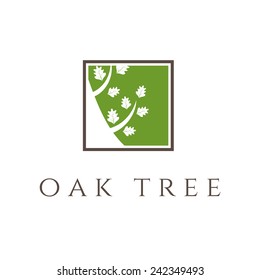Illustration of oak tree icon. vector 