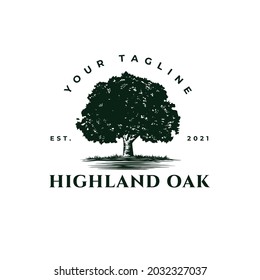 an illustration of Oak tree logo