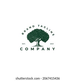 ilustración del logotipo del árbol de roble