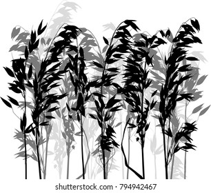 illustration with oat silhouette isolated on white background