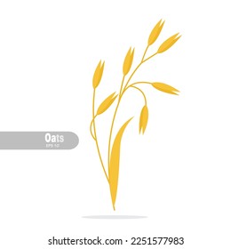 illustration of oats cereals grain. design flat modern isolated vector on white background