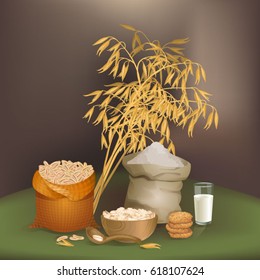 Illustration with oats foodstuff / There are sack with oats grains, flour, some cookies, liquid glass, flakes, and oats ears
