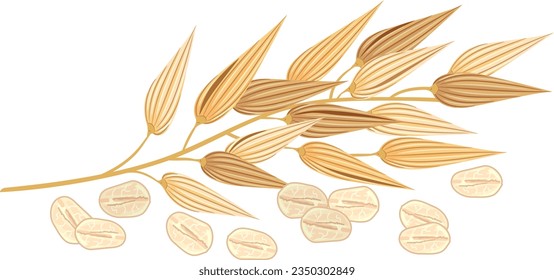 Illustration of Oats Leaf and Grains