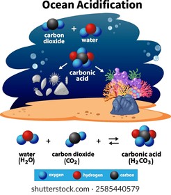 Illustration of ocean acidification chemical reactions