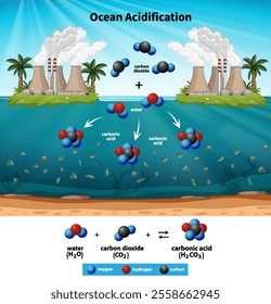 Illustration of ocean acidification process and chemical reactions