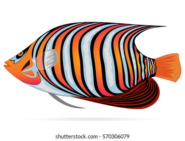 Illustration of an ocean color fish, vector