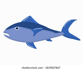 illustration of an ocean fish on a white background