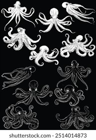 illustration with octopus sketches isolated on black background