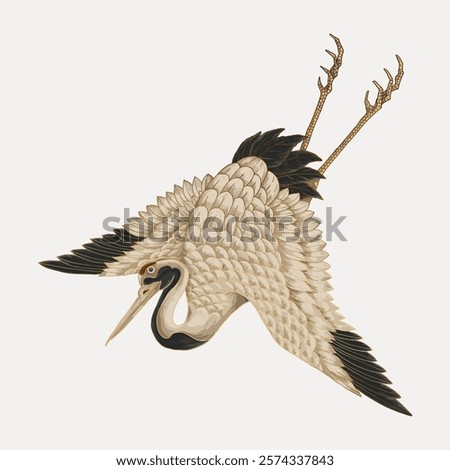 Illustration ofcrane in flight. The crane's wings are spread wide, showcasing detailed feathers. The crane's elegant form is captured mid-flight. Vintage art drawing illustration, painting art vector.
