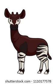 Illustration of an Okapi Animal