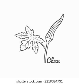 Illustration von Okra, Gemüse, Vektorkunst.