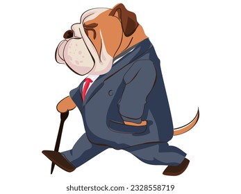 Illustration of old Bulldog walking with stick wearing a suit like a rich businessman people