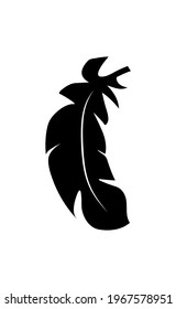 illustration of an old feather. Feather feather silhouette. Retro image of letter with feather icon.