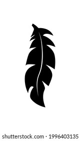 illustration of an old feather. Feather feather silhouette. Retro image of letter with feather icon.